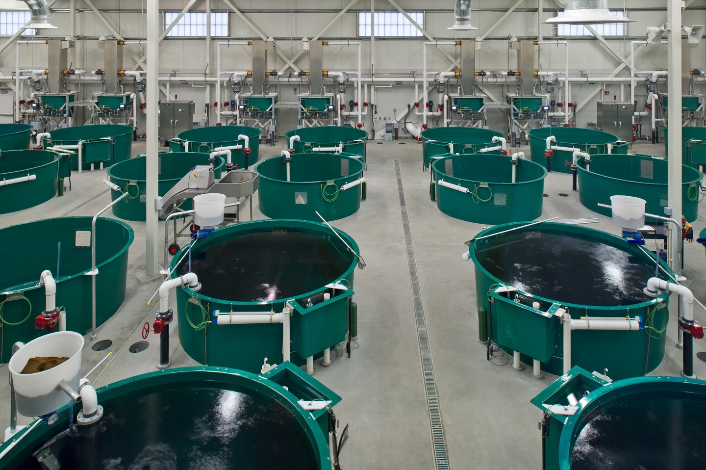 Image of a PR Aqua hatchery in Anchorage