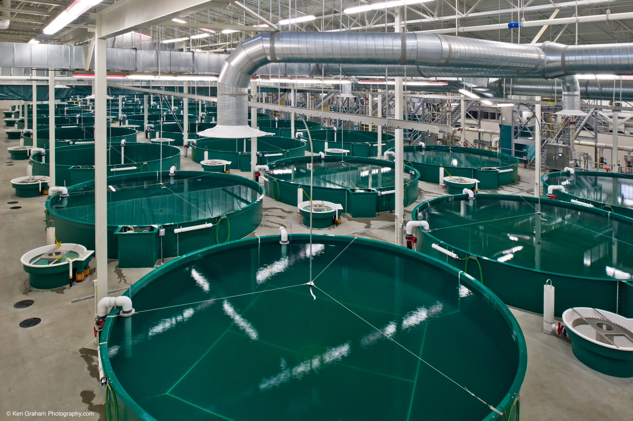 PR Aqua, RAS Aquaculture Engineering & Design